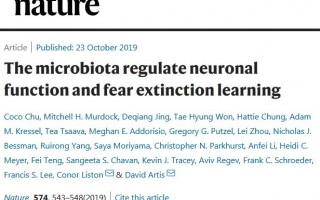 《自然》：肠道微生物能够通过代谢产物，影响神经元的连接方式，影响恐惧记忆的消退 