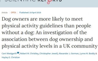 《科学报告》：狗是锻炼好伙伴？