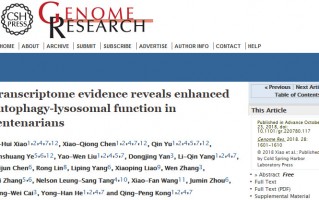 中国科学家发现长寿机制，4个基因加快人体垃圾清理