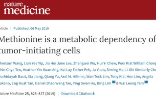 《自然》子刊：科学家发现肿瘤干细胞的生长极度依赖蛋氨酸，靶向这个通路，或能从根本上抑制肿瘤生长转移