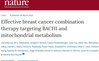 《自然》：科学家首次发现，二甲双胍和血红素可抑制三阴乳腺癌肿瘤生长