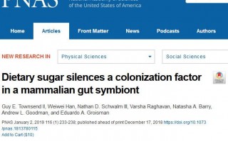 耶鲁大学研究人员揭示，饮食中的糖影响帮助保持身材的有益肠道微生物定植的机制