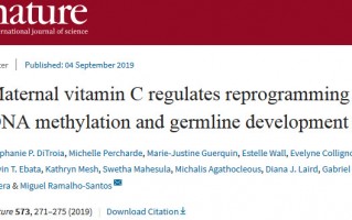 Nature：母亲怀孕期间缺乏维生素C，会导致女儿生育能力下降