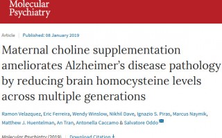 对抗老年痴呆，科学家们发现胆碱或许有潜力