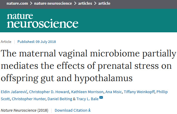 《自然》子刊：研究发现孕期压力会影响孕妈阴道微生物组成，影响后代生长发育.jpg