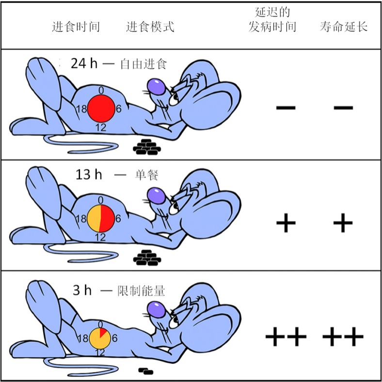 实验分组结果对比.jpg/