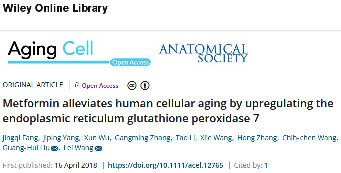 中科院生物物理所揭示二甲双胍延缓人类细胞衰老的新机制.jpg/