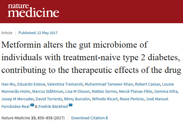 二甲双胍降糖新机制，肠道微生物竟是重要一环.jpg/