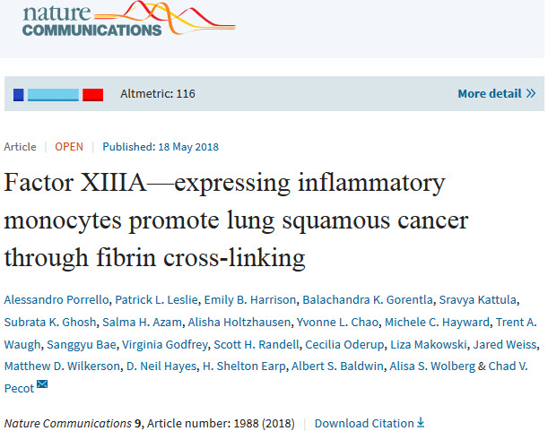 科学家首次发现肺癌细胞可利用免疫细胞促进凝血，借势转移和侵袭.jpg/