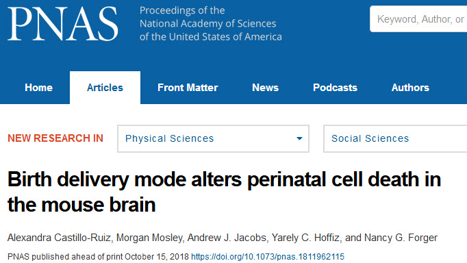 顺产vs剖腹产？PNAS：出生模式影响脑发育和行为.jpg/