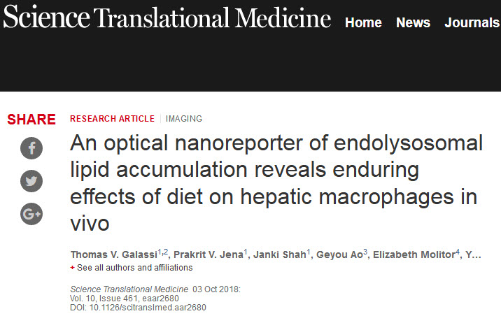 科学家发现短期高脂高糖饮食导致脂肪在肝中堆积，改吃健康饮食可能也无法逆转！.jpg/