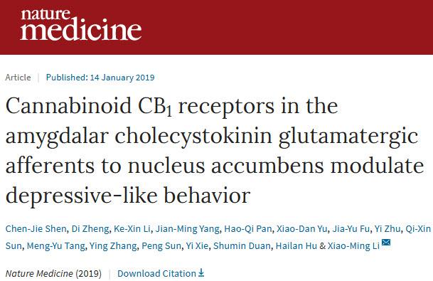 Nature子刊：李晓明团队揭示大麻治疗抑郁症新机制.jpg/