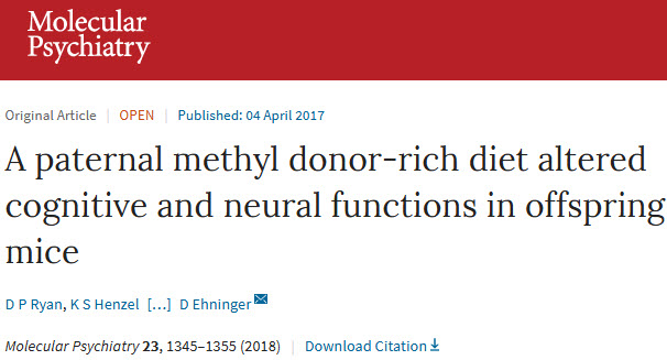 科学家首次发现雄性补充叶酸会拉低后代智商！.jpg/