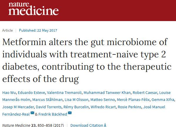 科学家发现「神药」二甲双胍降糖新机制，肠道微生物竟是重要一环！.jpg/