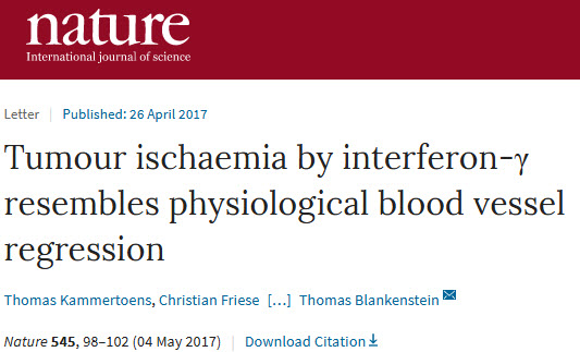 《自然》：科学家首次证明γ干扰素可以促进肿瘤血管衰退，让实体瘤缩小！.jpg/