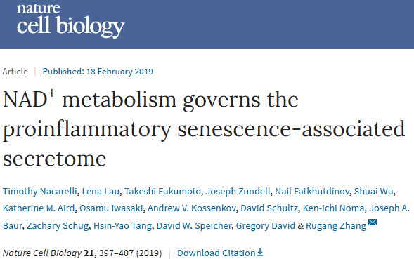 《自然》子刊：科学研究发现，补充NAD+会促进衰老细胞的分泌表现，刺激癌细胞生长.jpg/