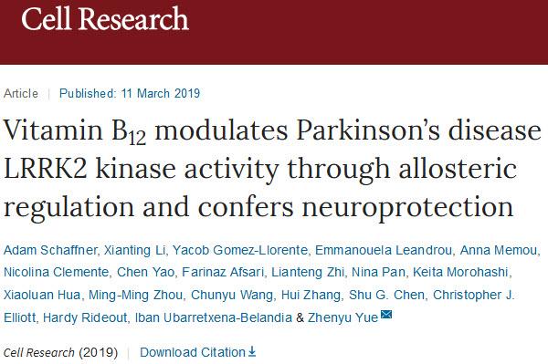 科学家发现，VB12可以抑制帕金森病重要相关蛋白，有望靶向治疗帕金森病.jpg/