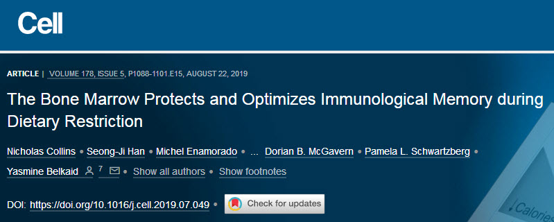 《细胞》：科学家发现，热量限制饮食期间，记忆T细胞会进入骨髓「修炼」，抗癌抗感染能力增强.jpg/