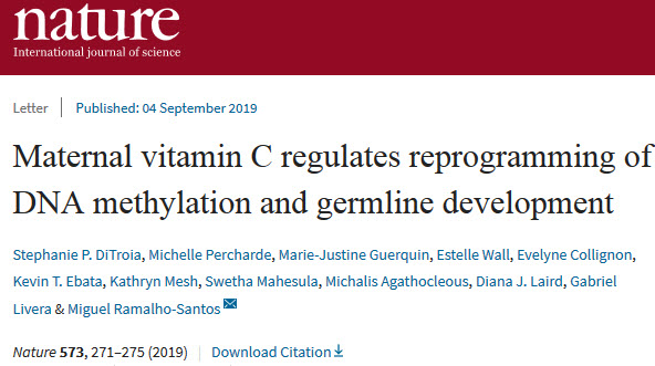 Nature：母亲怀孕期间缺乏维生素C，会导致女儿生育能力下降.jpg/