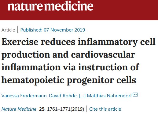 《自然》子刊：运动消炎护心脏！主动锻炼抑制损害心血管的慢性炎症.jpg/