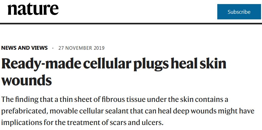 《自然》：科学家发现皮肤下面的筋膜竟对瘢痕起到主要作用.jpg/