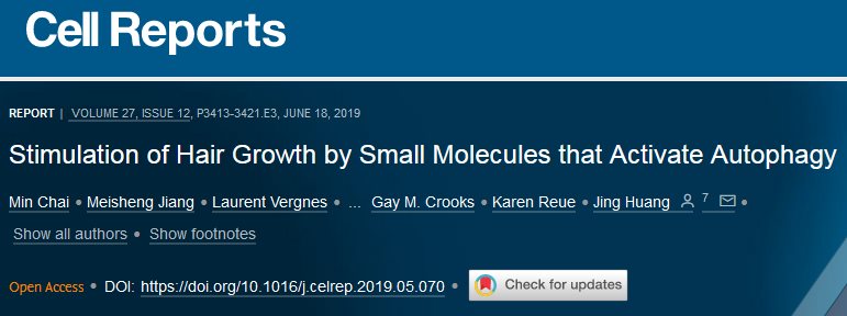 《细胞》：神药二甲双胍，除了减肥、抗衰老，还能拯救秃头！.jpg