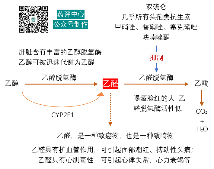 双硫仑样反应的本质是急性乙醛中毒.png