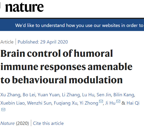 《自然》：中枢神经能直接调控适应性免疫的通路，躯体行为可以增强免疫应答.jpg