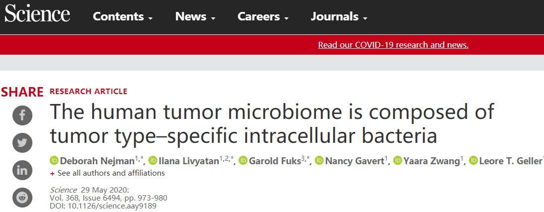 《科学》：癌细胞中有细菌！它们对肿瘤发展和治疗的可能影响.jpg
