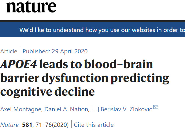 首次发现APOE4引起的血脑屏障破损的机制.jpg