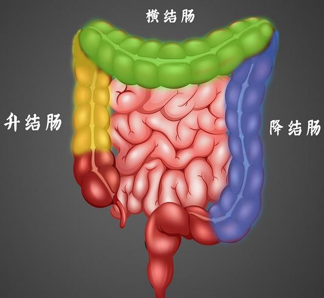 溃疡性结肠炎.jpg