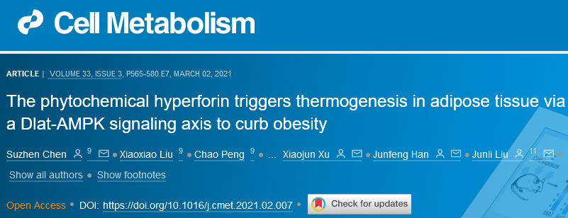 Cell子刊：贯叶连翘中药成分可促进脂肪产热，或可用于治疗肥胖.jpg