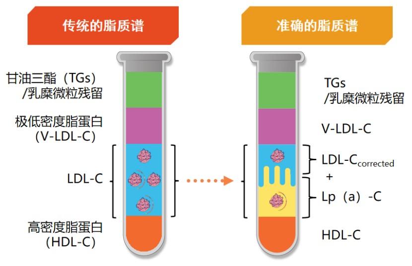 传统LDL-C检测将Lp（a）中的胆固醇算作LDL-C水平中的一部分.png