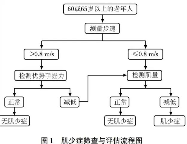 肌少症筛查与评估步骤.jpg