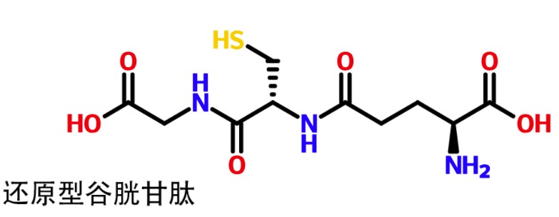 谷胱甘肽.jpg